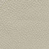 Light beige leather texture with a dense, pebbled grain and matte finish, displaying subtle creases and a consistent, durable surface.